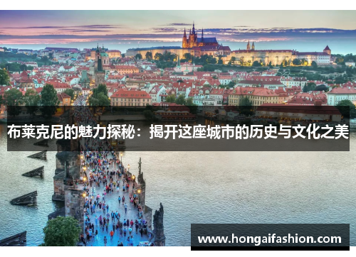 布莱克尼的魅力探秘：揭开这座城市的历史与文化之美