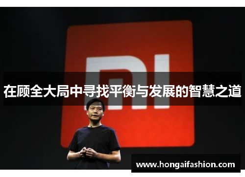 在顾全大局中寻找平衡与发展的智慧之道